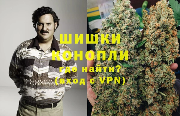 PSILOCYBIN Надым